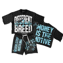  Blue Hundreds - Money Is The Motive Set